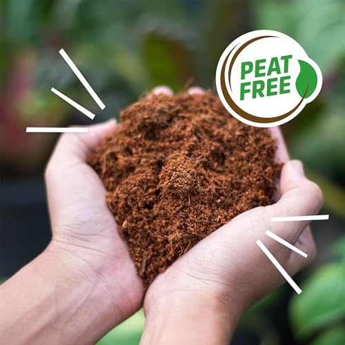 Back to The Roots Organic Coir, 51 Quart Expanding Soil, Great for Seeds and Potting - size: 51 Quart, style: 51 Quart Expanding Soil