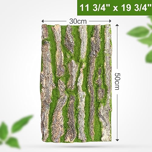 Artificial Moss Bark, Fake Moss Wall | Reptile Terrarium Background, Simulation Fake Moss Sheet for Crafts, Home Decoration Cork Moss Mat (Size : 30x50cm(11 3/4 x 19 3/4in)) - size: 30x50cm(11 3/4 x 19 3/4in)