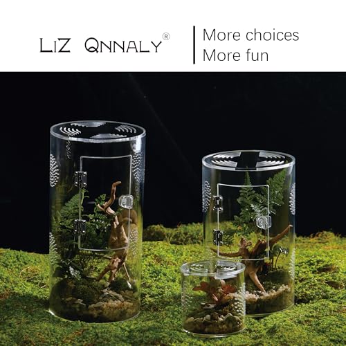 Acrylic Terrarium for Reptiles & Spiders – Small/Medium/Large Leak-Proof Enclosure (Horizontal/Vertical) | Ideal for Tarantulas, Jumping Spiders, Frogs & Geckos(Medium, Round) - size: Medium