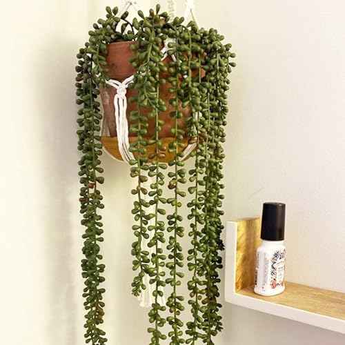 6pcs Artificial Fake String of Pearls Plant Faux Fake Hanging Succulents Plants (6, Green)