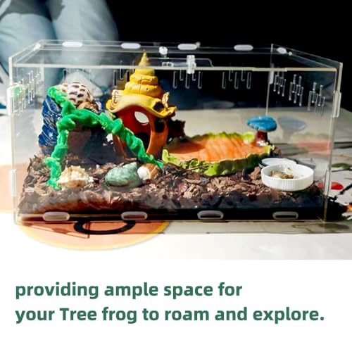 Jumping Spider Terrarium, Reptile Tank Habitat with Locking Acrylic Feeding Box for Tarantula, Isopod, Gecko, Snake (12x8x6)