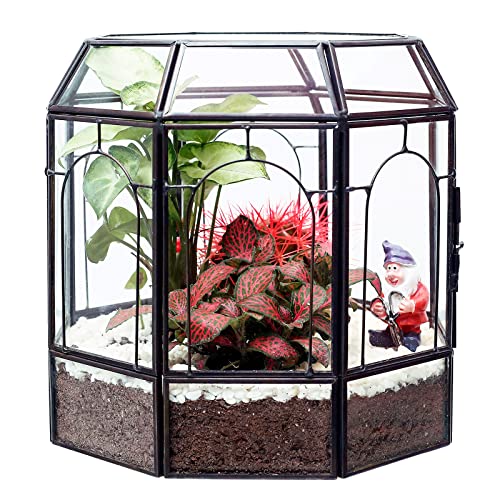 REDHUGO Large Glass Terrarium Handmade, Centerpiece Display Box Gift Planter Containers Indoor Terrariums House for Succulent Cacti Air Plants Miniature Fairy Garden - color: Black