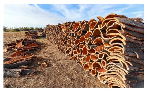 Bulk Cork BARK Flats (Sellers Choice) (20 lbs) - size: 20 lbs