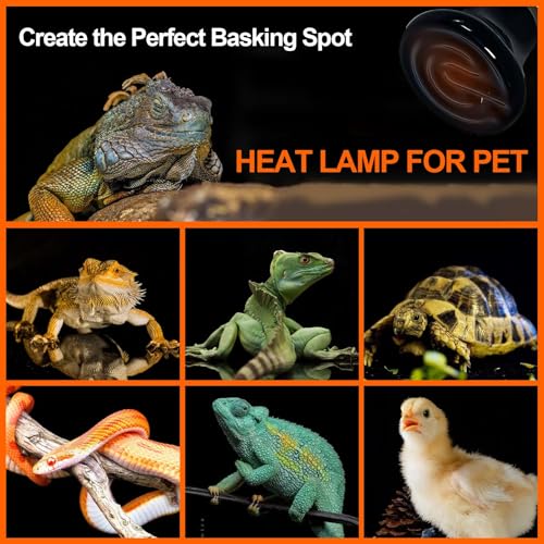 BNOSDM 25W Ceramic Heat Emitter,4 Pack Reptile Heat Lamp Bulbs,Ceramic Heat Lamp,Brooder Coop Heater for Amphibian Reptile Lizard Turtle Chicken - color: Pack of 4/Black, size: 25 Watts