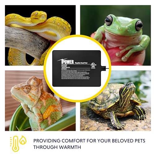iPower 6 by 8-Inch 8W Reptile Heat Mat, LCD Digital Aquarium Thermometer, Under Tank Warmer Terrarium Heat Pad for Turtles Lizards Frogs and Other Small Animals, Multi Sizes - size: 6 X 8 Inch, style: Pad + Thermometer