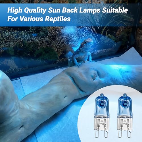 G9 50W Heat Lamp Bulbs for Reptile | Mini Halogen Bulb, Infrared Reptile Heat Lamp for Bearded Dragon Gecko Turtle Lizard