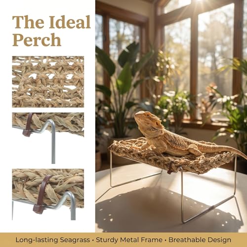 COLLBATH Bearded Dragon Hammock and Reptile Lounger with Natural Seagrass Basking Platform, Small Rectangle Pet Bed for Lizards, Geckos, and Frog Tank Habitat