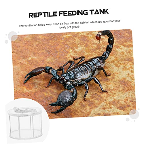 COLLBATH Transparent Reptile Breeding Box with Ventilation Feeding Case for Spiders Geckos and Snakes Durable Acrylic Habitat for Pet Display and Observation