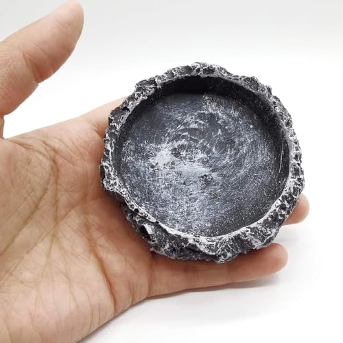 2PCS Reptile Water Dish Food Bowl Set Reptile Feeder Food and Water Dish with Feeding Tweezers Tong for Leopard Gecko Lizard Frog Snake Chameleon Tortoise(Style 1) - color: style 1