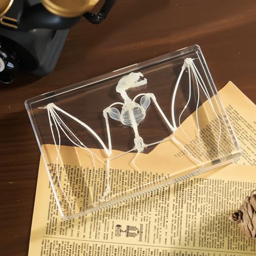 Taxidermy Bat and Real Bat Specimens Mounted in Resin, Ideal Gift for Fans of Taxidermy, Animal Skulls, Oddities, and Biology (Bat Skeleton (5.3x3.5x1.3 Inch)) - color: Bat Skeleton (5.3x3.5x1.3 Inch)