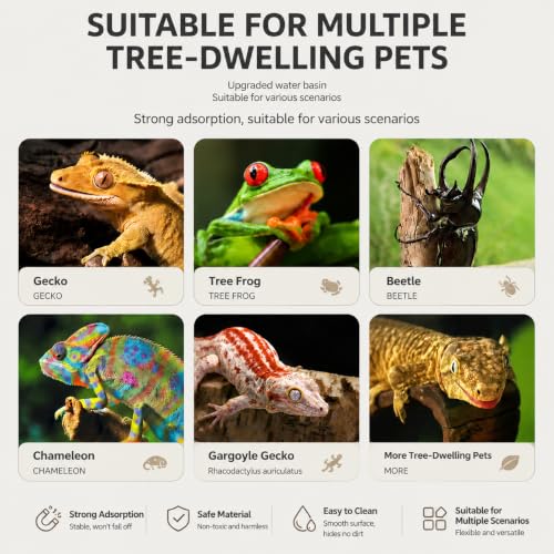 Strong Magnetic Reptile Ledge - Acrylic Gecko Feeding Ledge with Cups, Heavy Duty Elevated Reptile Food and Water Feeder Dish for Crested Gecko, Gargoyle Gecko, Chameleon, Anole