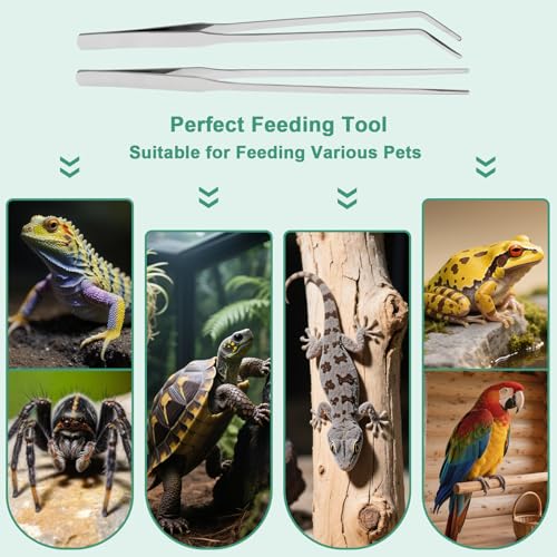 Syn-zer 2PCS Stainless Steel Reptile Feeding Tongs, 10.6 inch Straight and Curved Tweezers for Aquarium, Terrarium & Crafts Bearded Dragon Snake Tank Accessories, Planted Tank Tools Feeder for Lizards - color: Silver