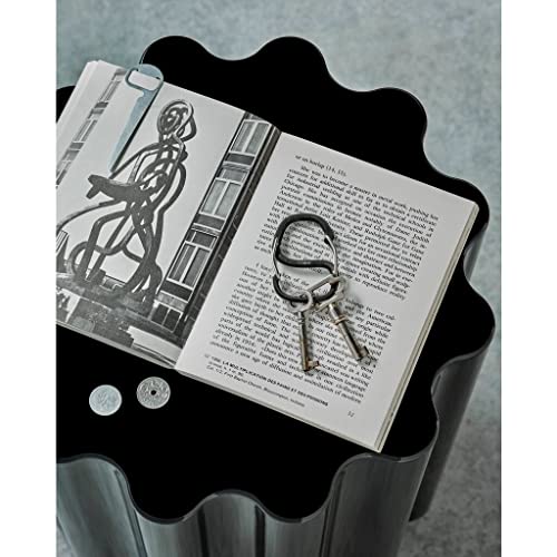 Craighill Coachwhip Carabiner - 2.4” Keychain Clip, Modern Minimalist Keyring for Car Keys & Accessories, Heavy Duty, Lightweight, S Shape Hook - style: Black