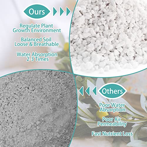 Legigo 2 QT Organic Horticultural Perlite & 2 QT Horticultural Charcoal, Natural Soil Amendment for Superior Drainage, Aeration, and Healthy Root Systems in Indoor Plants, Orchids, Terrariums & Pottin
