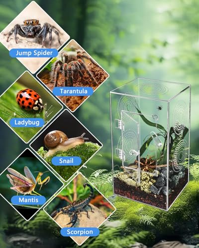 Jumping Spider Enclosure - 11.7x6x6 Inch Large Acrylic Terrarium for Tarantulas - Reptile Tank With Front Opening Door - Habitat Accessories