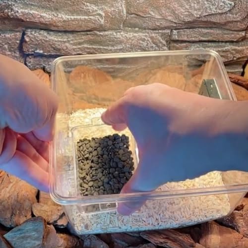 LIOOBO Lizard Feeding Bowl with Suction Cup Durable Transparent Reptile Feeder Dish for Easy Cleaning and Secure Feeding for Geckos and Small Reptiles