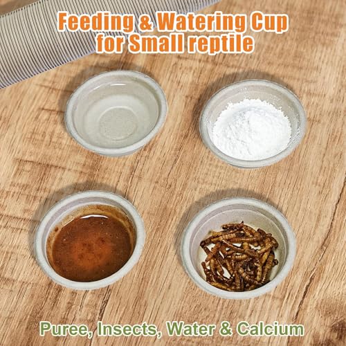 Tfwadmx 200Pcs Paper Gecko Feeding Cups,Samll 1oz Crested Gecko Food Dish,Reptiles Food and Water Bowls Feeder Ledge Accessories Cups for Lizards,Spiders,Frogs - size: 200 pcs