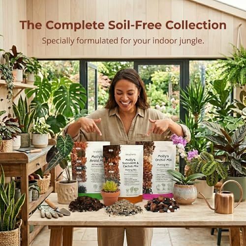 Molly's Succulent Mix - Premium Gritty Soilless Potting Mix for Succulents, Cactus and Bonsai - Contains Akadama, Hyuga, Bark Fines, Pumice, Lava Rock, Mycorrhizae 5 Dry Quarts - size: 5 Dry Quarts, style: Succulents & Cacti