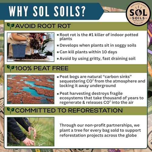 Sol Soils LECA Balls - Lightweight Natural Hydroponic Clay Pebbles for Plants, Improves Drainage, 10 Qt