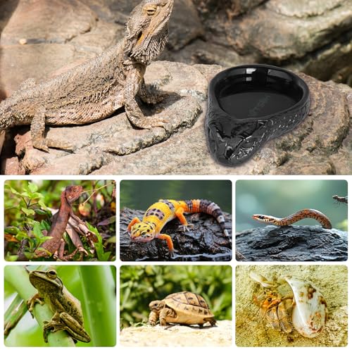Resin Reptile Water Dish for Gecko, Snake, Tortoise & Lizards(Black) | Heavy Stable Base • Natural Rock Design • Water & Food Use • Easy to Clean - color: black