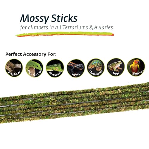 Supermoss Galápagos (05321) Mossy Terrarium Sticks (6 Pack), 24" - size: 24"