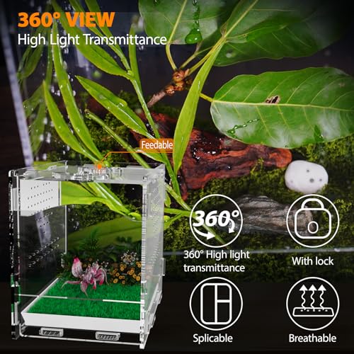 Acrylic Jumping Spider Enclosure, Insect Terrarium, Praying Mantis Habitat, Bug Enclosure, Arboreal Tarantula Enclosure Kit, Reptile Cage, Scorpion Lizard Tank (4.45 * 4.94 * 5.71in)