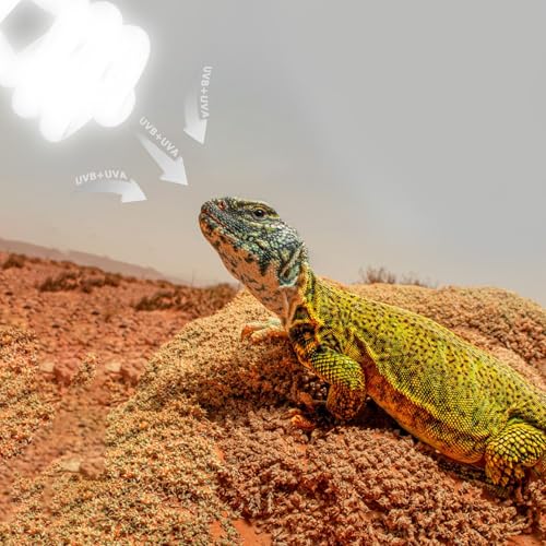 UVB 10.0 Reptile Light 13W, Compact Fluorescent Lamp,Coil UVB Desert Bulb–Lighting for Bearded Dragons, Lizards, Tortoises, Snakes, Geckos, Amphibians & Small Reptile Tanks