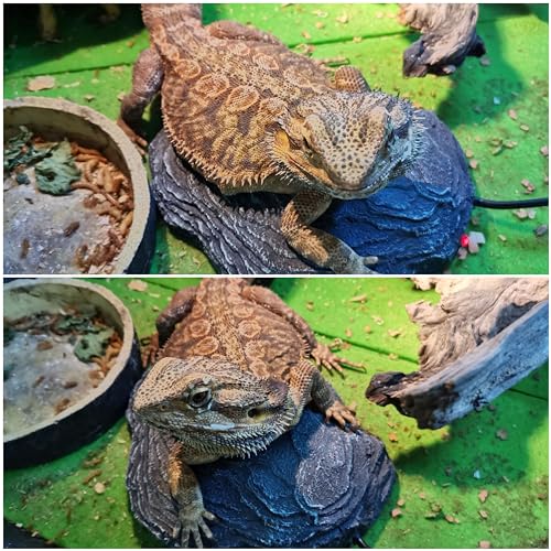 Reptile Heat Rock Terrarium Tank Heating Pad Thermostatic Controlled Heated Mat Basking Platform for Bearded Dragon, Lizard, Snake, Chameleon, Turtle, Leopard Gecko