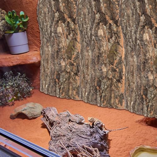 DOITOOL Natural Cork Bark Reptile Platforms for Terrarium Decor 11.81X7.87X1.57In Climbing and Resting Accessories for Lizards Turtles Spiders and Small Pets