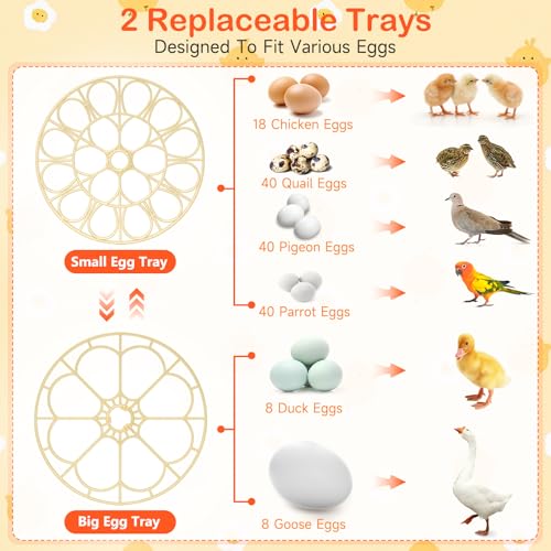 18 Egg Incubators for Hatching Eggs, Automatic Egg Turning and Humidity Control Incubator for Hatch Chicken Duck Quail Pigeon Pheasant Partridge Home Classroom Lab-