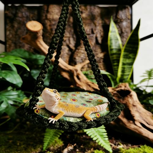 Reptile Hammock Swing Hanging Bed Bearded Dragon Hammock Reptile Accessories for Chameleon, Lizards, Gecko, Snakes, Iguana Reptiles, Geckos, Bird, Parrot, Parakeet, Cockatiel Toys(Green with pad) - color: Green with pad