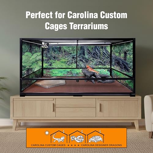 T5HO Double 22” UVB Reptile Light Fixture 24w, Bearded Dragon and Reptile Terrarium Light Fixture
