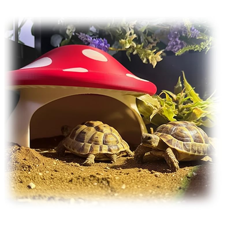 Mushroom Reptile Hide for Tortoise and Small Pets,Tortoise Hide Shelter with Cute Design, Reptile Hide Box for Vivarium (Large:18cm*13.2cm) - size: large:18cm*13.2cm
