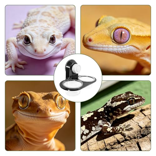 Black Gecko Feeding Ledge with 100 PCS 0.7 oz Disposable Plastic Cups and 1 Tweezer, Detachable Suction Cup Reptile Food Water Feeding Station for Crested Gecko, Lizard, Small Reptiles and Amphibians
