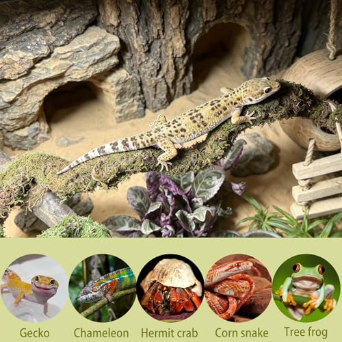 2PCS Leopard Gecko Climbing Toys Bendable Moss Vine Hermit Crab Tank Accessories for Lizards Leopard Geckos Chameleons Frogs 15 Inch (2)