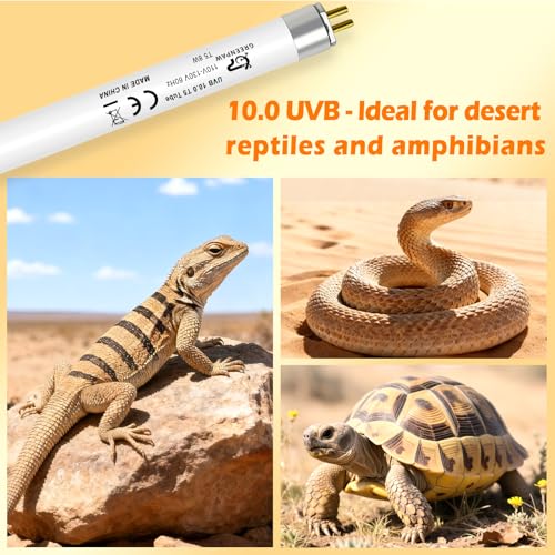 T5 10.0 UVB Light Bulb for Reptiles, 8W HO UVB Reptile Lamp Bulb, 2 Pack 12 Inch UVA UVB Fluorescent Lamp Tube for Bearded Dragon Leopard Gecko Tortoise Lizards - size: 8W-12INCH