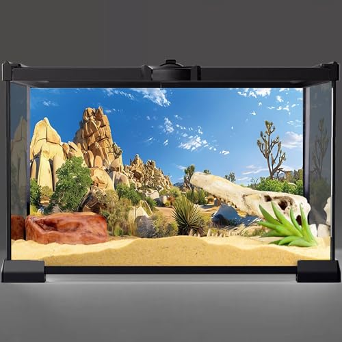 AWERT 48x24 inches Reptile Habitat Background Stone Blue Sky Oasis Cactus Sun and Desert Terrarium Background Polyester Background - size: 48x24in/120x60cm