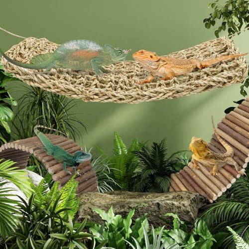 QUOZUO Bearded Dragon Tank Accessories, 3pack Reptile Habitat Hammock Natural Seagrass and Natural Wood Bendable Bridge for Climbing, Hermit Crab, Lizard, Mice, Spiders, Turtle, Snake
