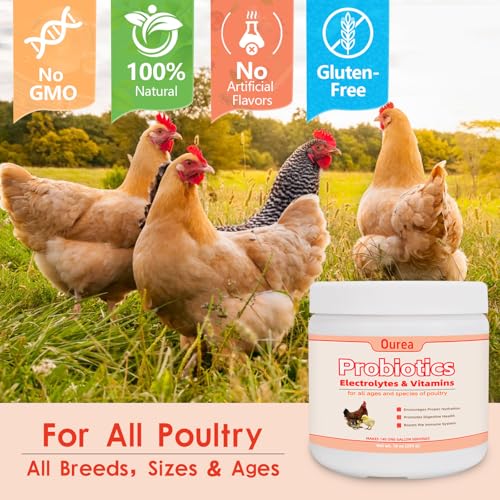 Chicken Electrolyte, Vitamin & Probiotic Supplement - Support Hydration Digestion Immunity Egg Production – Poultry Supplement for Chickens, Ducks, and All Ages of Birds – All-Season Use,10oz Powder