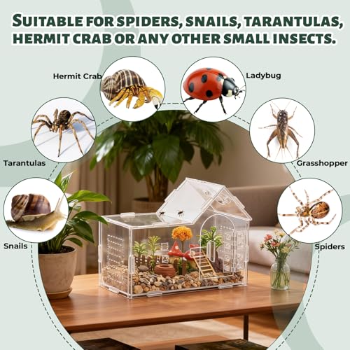 Jumping Spider Enclosure Small Acrylic Spider Cage Insect Terrarium Bug Enclosure Tarantula Enclosure Reptile Terrarium for Snail, Mantis, Lizard, and Small Reptiles - Big House Shape