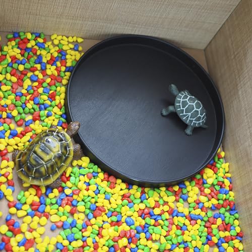 OMEM Reptile Food Bowl Water Dish,Feeding Dish, Birds Bowl (S, Black) - color: Black, size: S