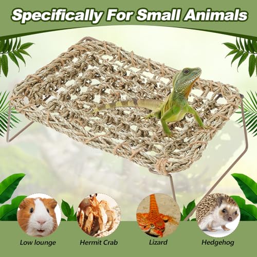 Soaoo 2 Pcs Bearded Dragon Hammock Lizard Reptile Tank with Metal Legs Collapsible Rectangle Bed Gecko Climbing Accessories for Habitats Small Animals Snake Iguana Amphibian Hermit Crab