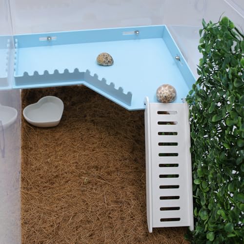 No-Drill Climbing Platform with Ramp, Hermit Crab Climbing Wall & Hideout, Multi-Level Platform with Ladder, No-Tools Mounting for Geckos, Small Lizards, Hamsters - color: Blue