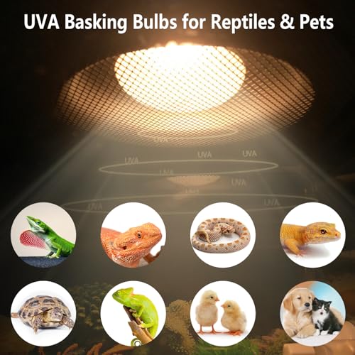 Pack of 4 UVA Heat Light Bulbs - 75W Reptile Basking Light Bulbs for Bearded Dragons, Geckos, Iguanas, Lizards, Amphibians & Small Pets - color: Uva Bulbs (4pcs), size: 75W
