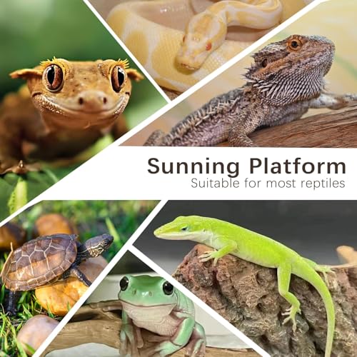 Bearded Dragon Basking Platform,Reptile Basking Platform Slate Rocks with Wooden Pile,Leopard Gecko Hides and Caves Climbing Tank Accessories for Lizards Snakes Tortoise Ball Python(Small)
