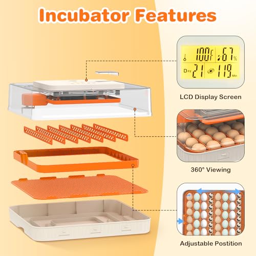 56 Egg Incubator for Hatching Eggs, Egg Incubators with Automatic Egg Turning, Temperature and Humidity Control, Egg Candler, Automatic Water Bottle Refill, Incubator for Chicken, Ducks, Goose