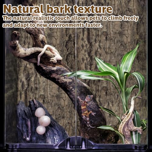 2PCS Cork Terrarium Background 15.7x11.8in Natural Cork Large Bark Backdrop Reptile Climbing Mat Habitat Decor for Spider Lizard Chamelon Turtle Beared Dragon