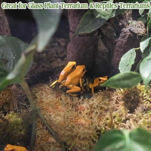 Halatool 1.1LB Sphagnum Moss for Reptiles(Turtles, Geckos, Snakes, Frogs, Hamsters), Natural Forest Long Fibered Dried Moss Bulk for Reptiles Substrate & Bedding - 25QT Reptile Habitat Accessories - size: 1.1 LB