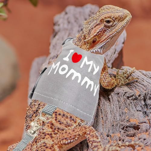 Bearded Dragon Travel Backpack Carrier with Reptile Thermometer and Humidity Gauge Lizard Travel Cage Space Capsule Clear Bubble Window Astronaut Reptile Bag for Ball Python (Black, Backpack+I LSH) - color: Black, size: Backpack+I LSH
