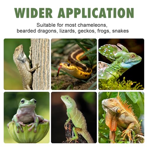 Chameleon Feeder Box with Suction Cups, Acrylic Feeding Bowl for Bearded Dragon, Wall-Mounted Insect Feeder for Lizard, Iguana, Gecko, Frog - color: Clear Feeder Box